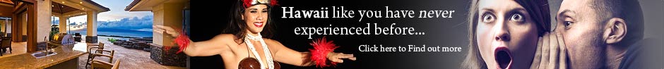 Star Equity Hawaiian Retreat - Experience Hawaii like you have never done before